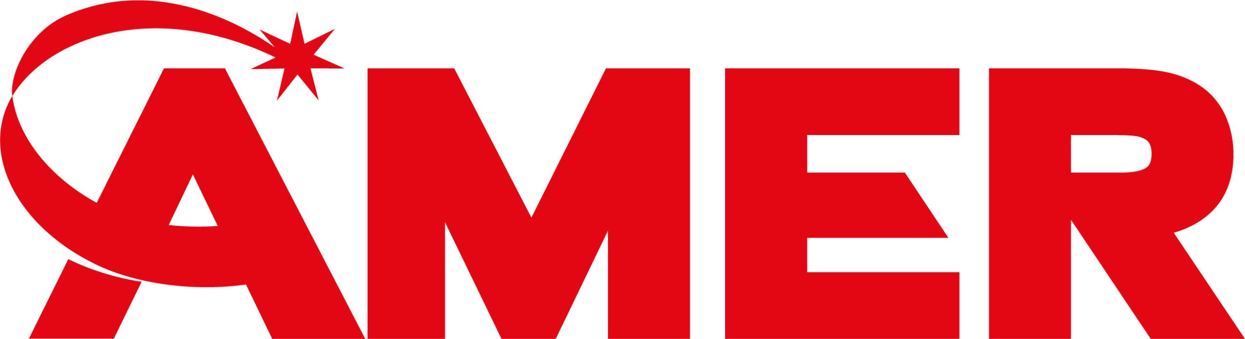 Developer Logo 1