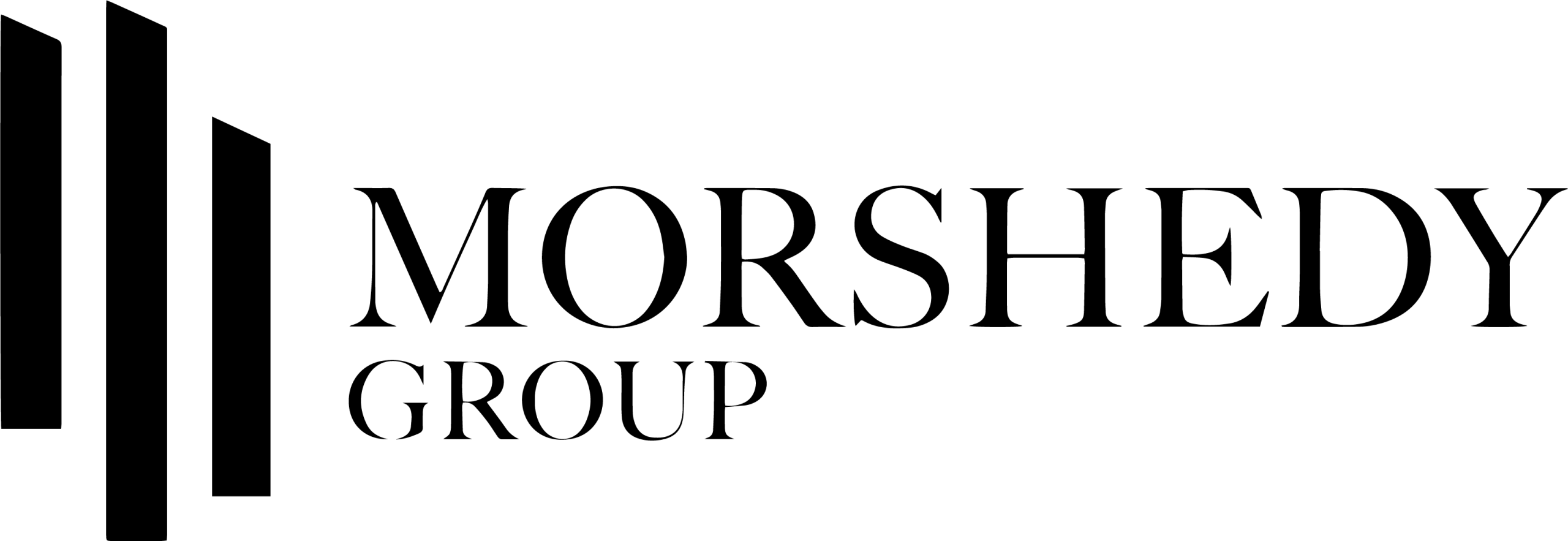 Developer Logo 6