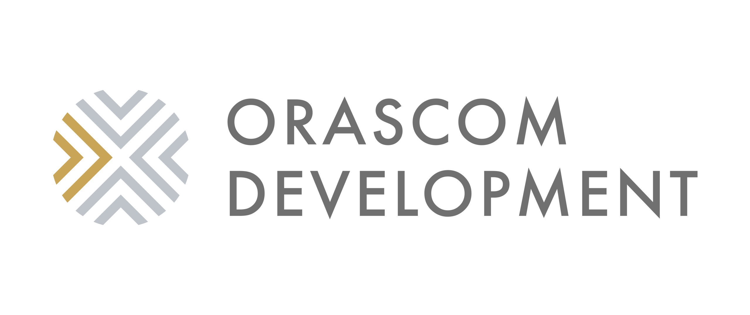 Developer Logo 8