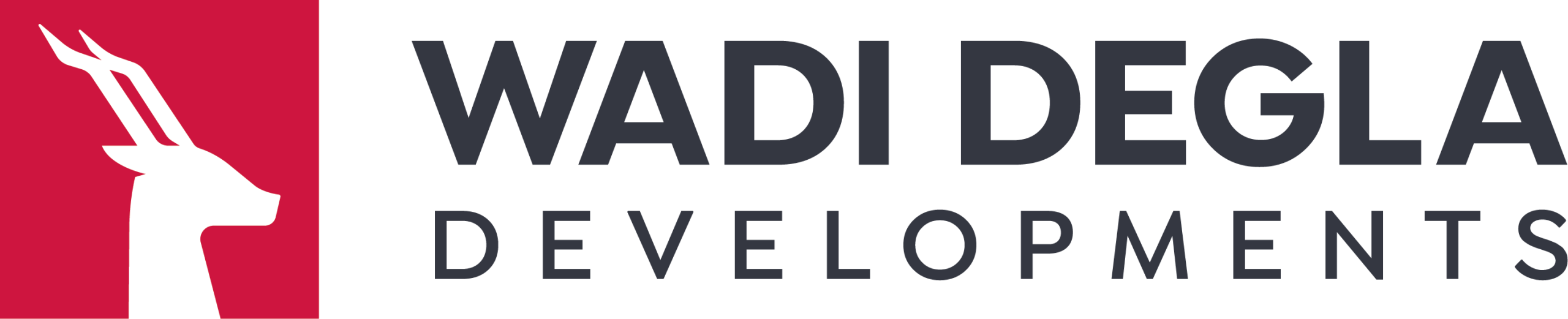 Developer Logo 13